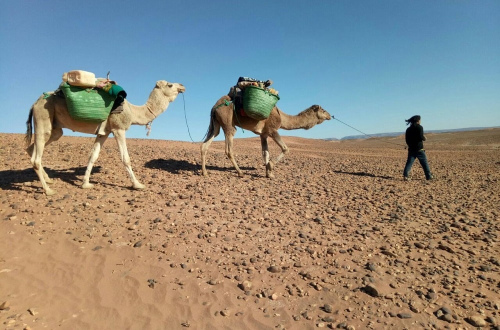 Morocco camel trekking tour price