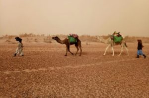 morocco camel trekking 3 days