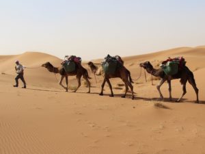 Morocco camel trekking