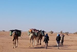 Morocco camel trekking