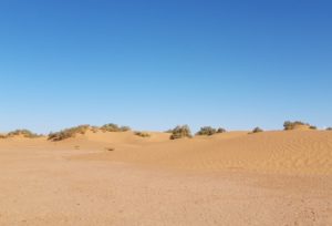 Camel trekking tour Morocco