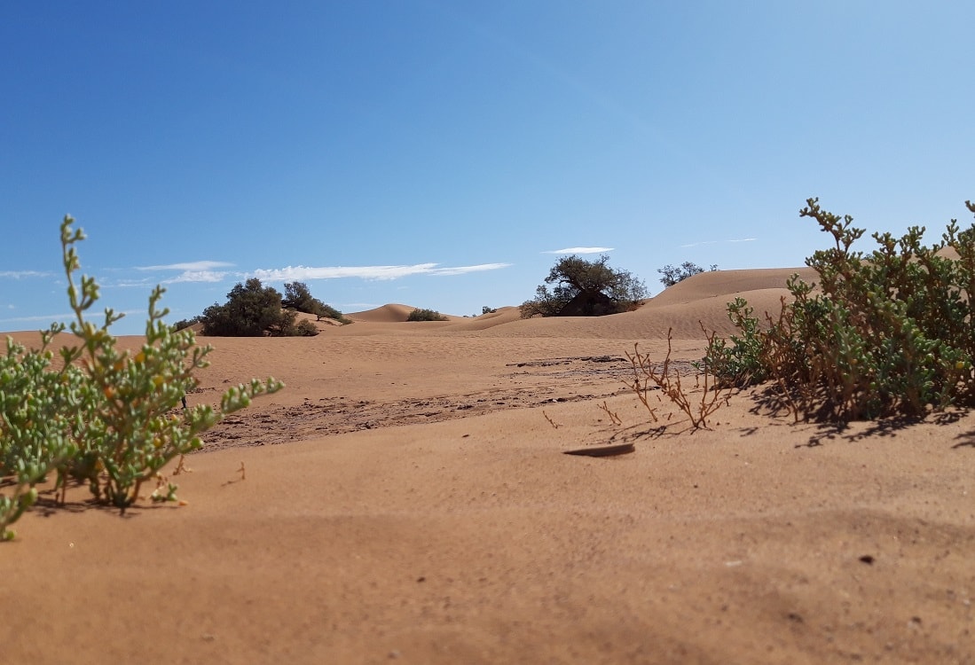 Morocco desert hike