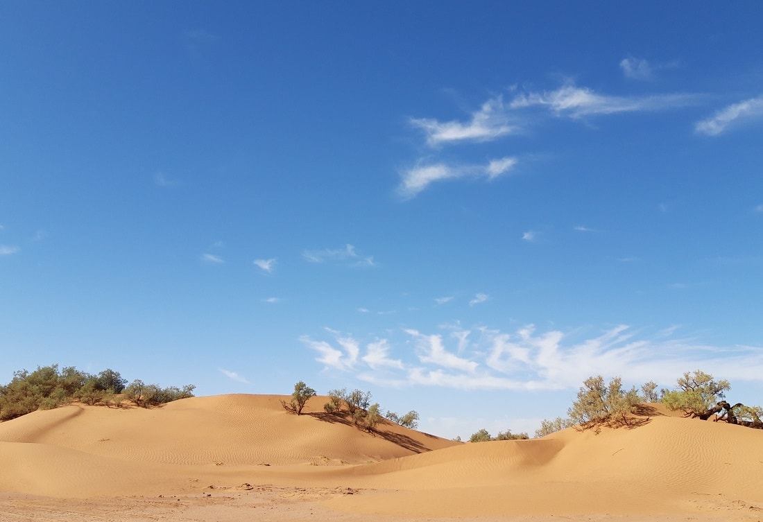 night Morocco desert