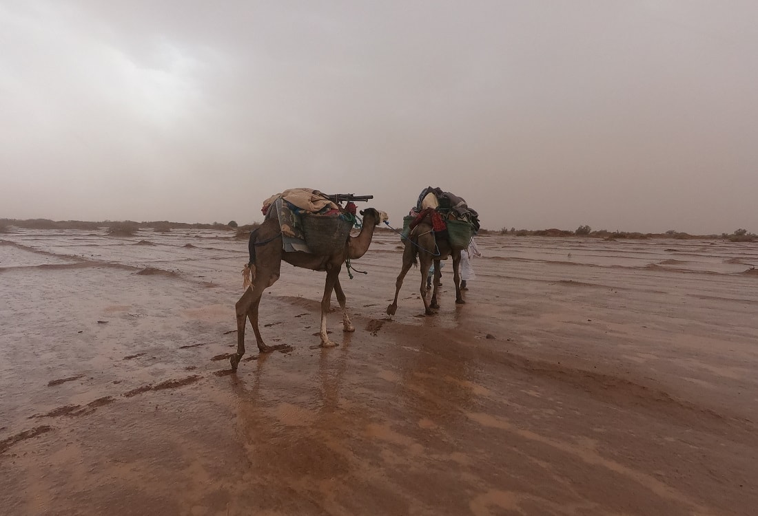 Morocco Sahara camel tour