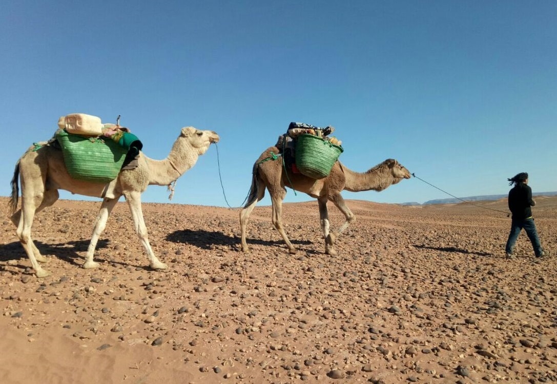 Morocco desert adventure