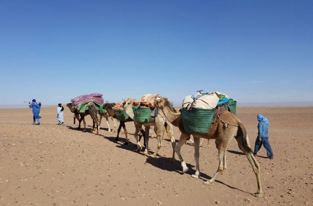 Sahara camel trekking trip
