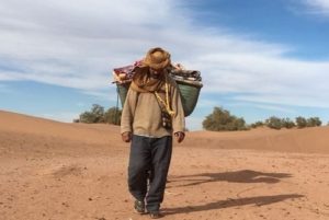 Sahara camel trekking trip