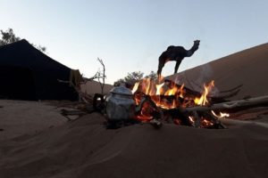 Sahara camel trekking tour
