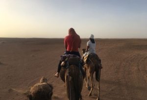 Marrakech Sahara tours
