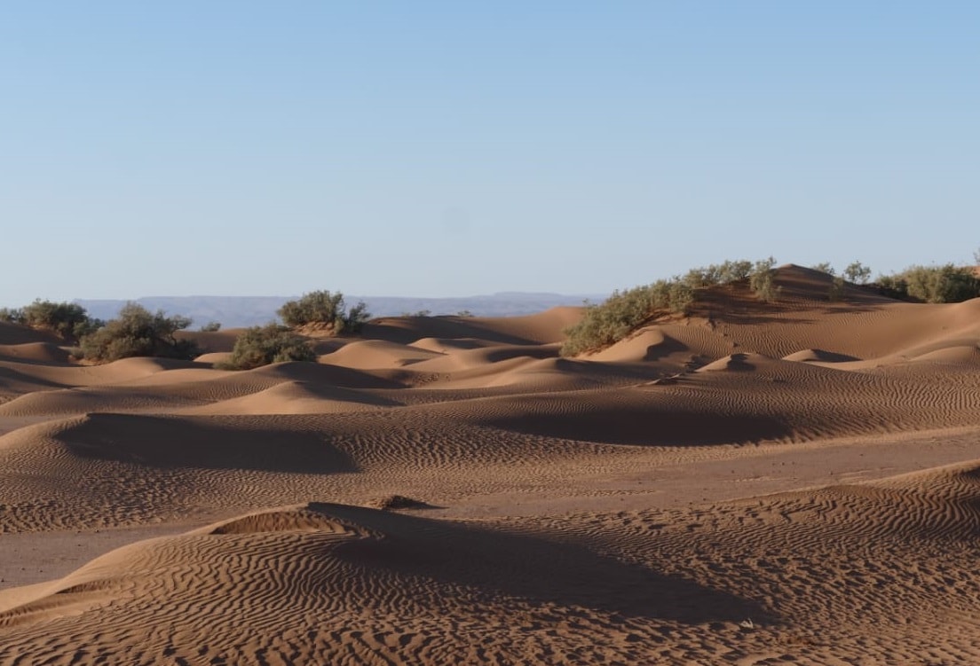 Sahara camel trip Morocco