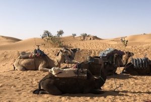 Ouarzazate desert tour
