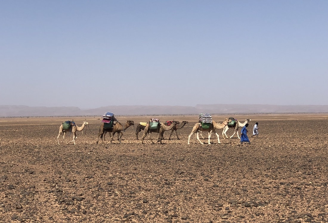 Trek Morocco desert