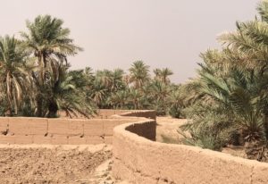 Marrakech Sahara trip