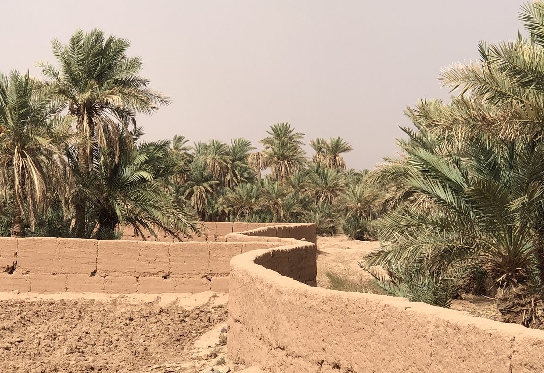 Marrakech Sahara trip