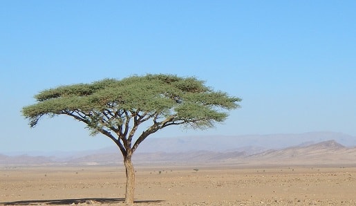 Wellness retreat Morocco desert