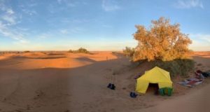 Morocco camel trekking