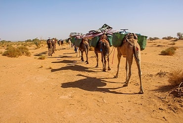 fez desert tour