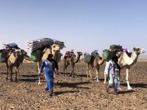 Erg Chigaga camel tours