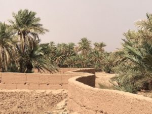 Camel trek Morocco 4 days