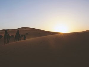 Merzouga desert tour