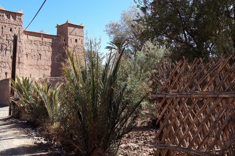 Oasis of Skoura Ouarzazate Morocco