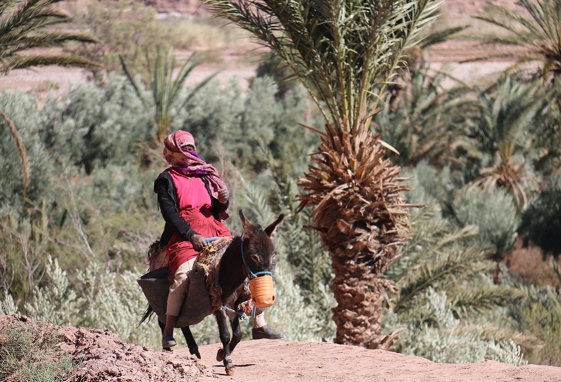 Draa Valley Morocco