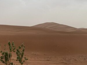 Morocco desert trip
