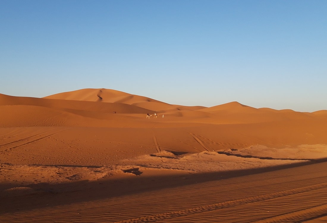 Erg Chigaga dunes camel ride