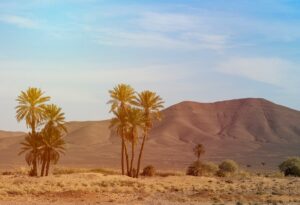 Morocco desert tour