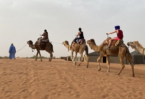 M'hamid desert tour