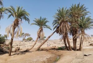 Morocco Sahara tour