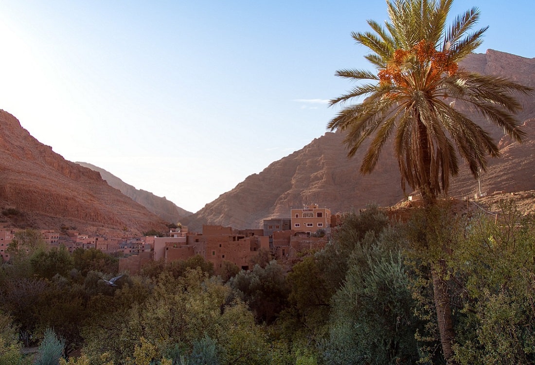 Todra Gorges Morocco