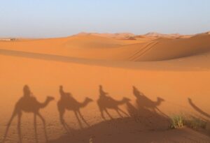 Camel ride Erg Chebbi