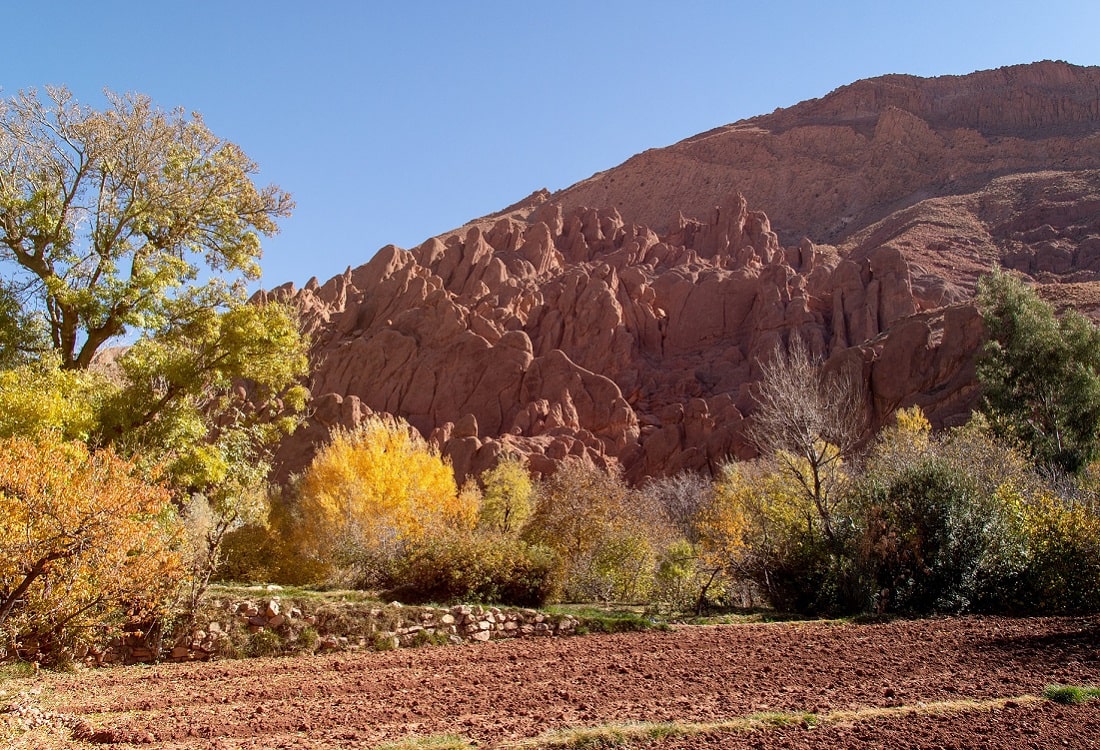 Dades Gorges during a Morocco Sahara trip