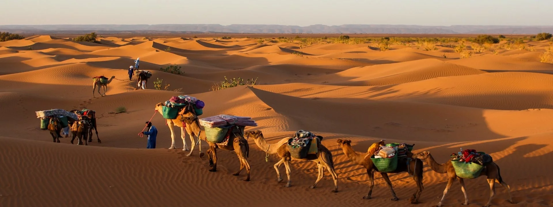 Morocco camel trekking