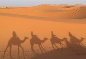 Tour in Merzouga