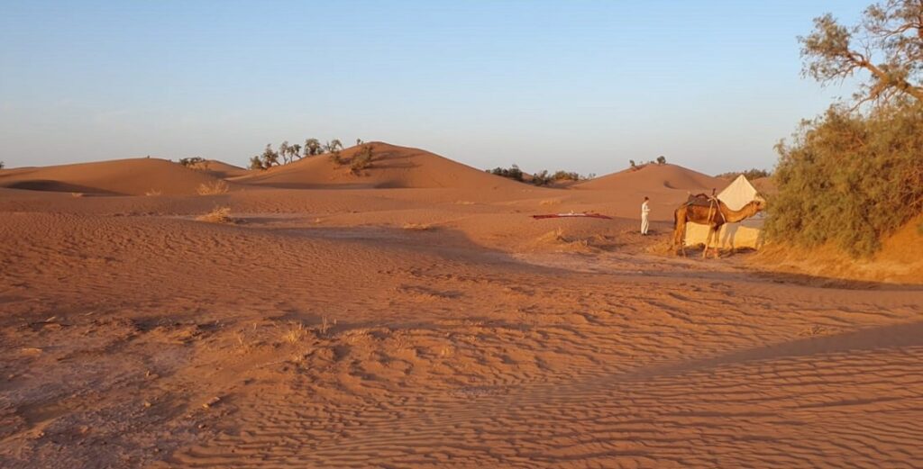 camel trek morocco